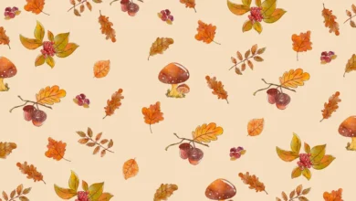 Aesthetic:Bptxpoqihmw= Cute:2u-Bqxoije0= Fall Background