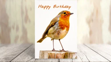 Printable:5pbvmq9vu_E= Birthday Cards