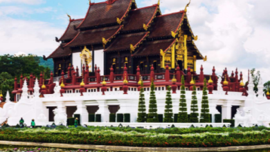 Discover Chiang Mai: Temples, Markets, and Northern Thai Cuisine
