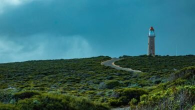 competitive expansion forecast details