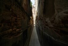 competitive landscape phone numbers