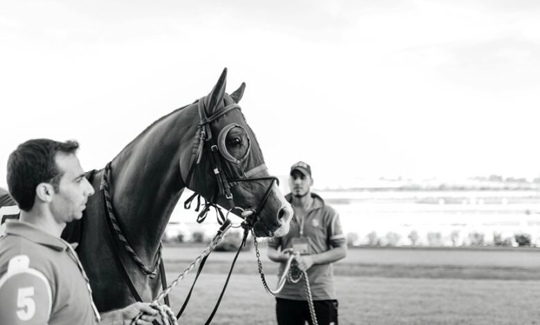 competitive signal evaluation summary