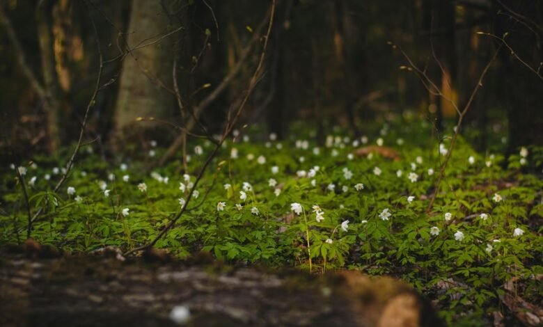 growth dynamics log details