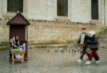 market force interaction summary