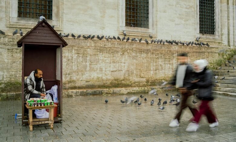 market force interaction summary