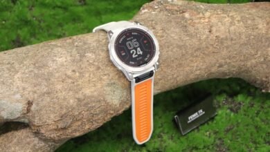 m ldk rl monitoring log details