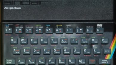 revenue analysis for momentum