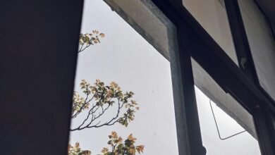 strategic competitive growth analysis